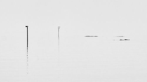 Sailboats sailing in sea against clear sky