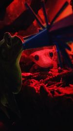 Close-up of red object