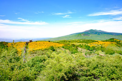 Scenic view of landscape against cloudy sky