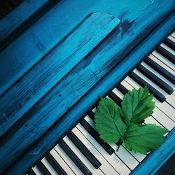 High angle view of leaves on piano