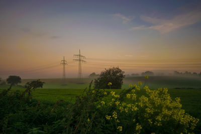 Scenic view of agricultural field against sky during sunset