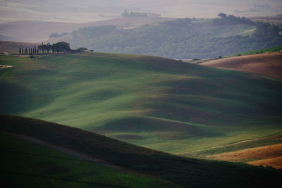 Scenic view of agricultural field