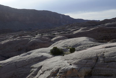 Morning light illuminates contors at the base of the waterpocket fold.