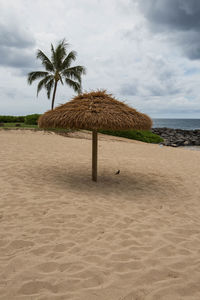 Palm tree on sand against sky