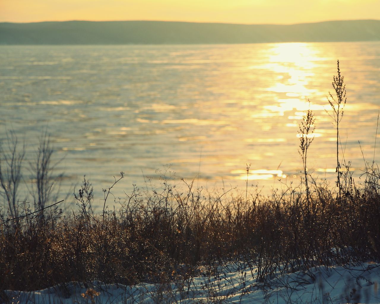 sunset, water, tranquil scene, tranquility, scenics, beauty in nature, plant, nature, sky, sun, lake, grass, reflection, idyllic, growth, orange color, outdoors, no people, non-urban scene, landscape