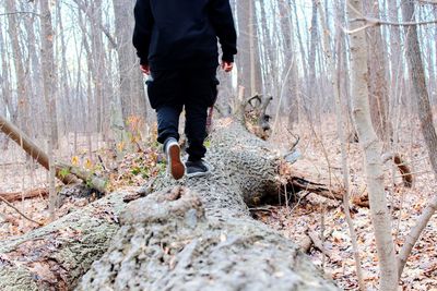 Low section of man walking in forest