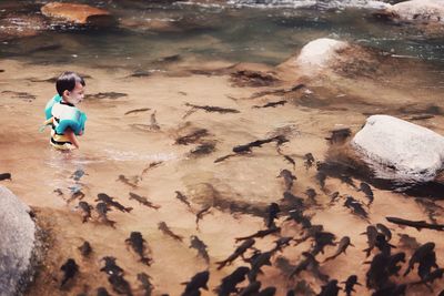 High angle view of boy standing by fish in river
