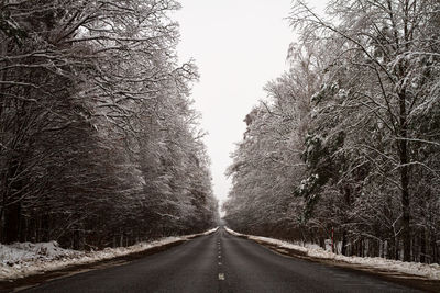 Road amidst bare trees