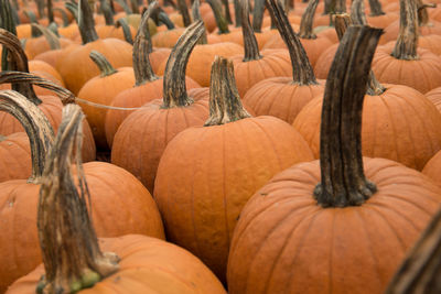 Full frame shot of pumpkins for sale