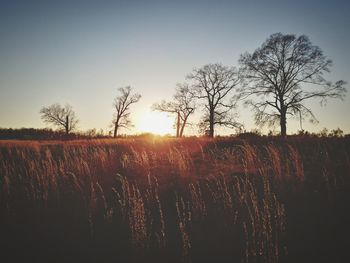 Scenic view of field against sky during sunset