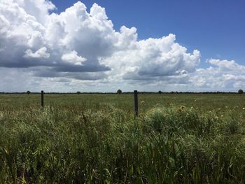 Scenic view of field against cloudy sky