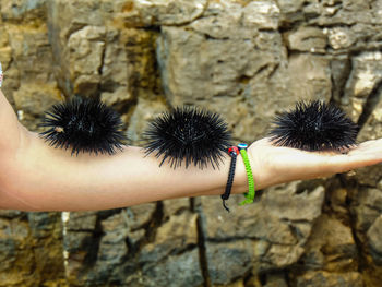 Close-up of hand holding dandelion