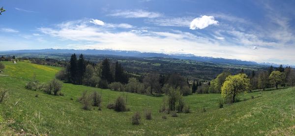 Scenic view of field against sky
