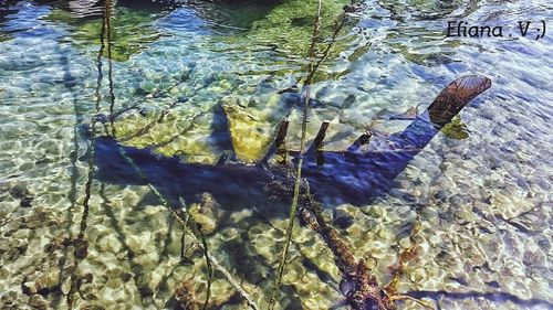 Rocks in lake