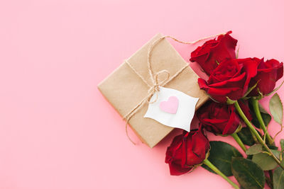 Close-up of red roses against white background