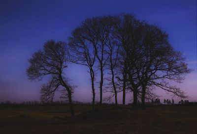 Bare trees on field