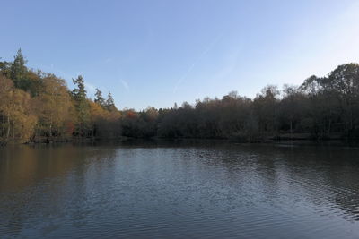 Scenic view of lake by trees against sky