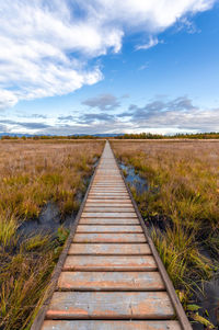 Dirt road along countryside landscape. wood flooring on swamp.