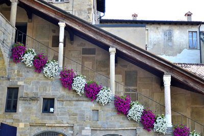 Low angle view of potted plants on balcony