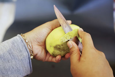 Cropped hand of person holding apple