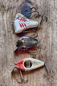 High angle view of fish on table