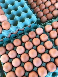 Simply eggs