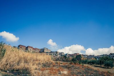 Panoramic view of trees against blue sky