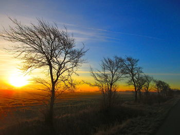 Bare tree on field against sky during sunset