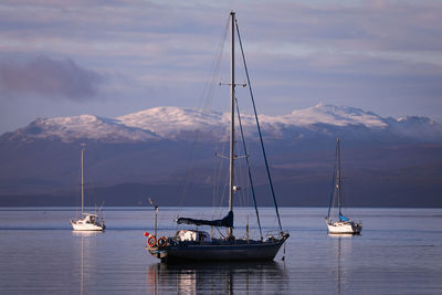 Sailboats sailing on sea against sky