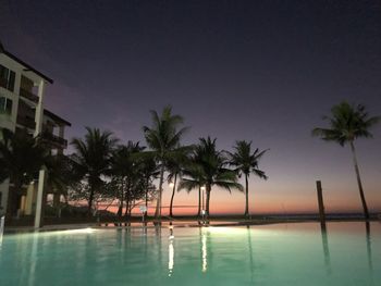 Palm trees by swimming pool against sky