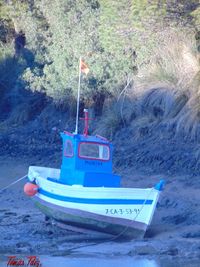 Boat moored at beach