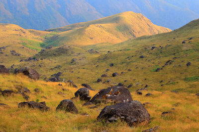 Scenic view of landscape