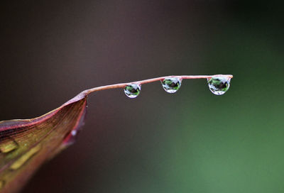 Close-up of bubbles in water