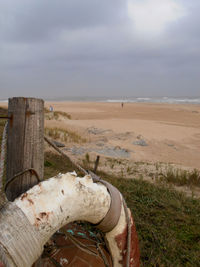Close-up of man on beach against sky