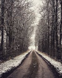Road amidst trees in forest during winter