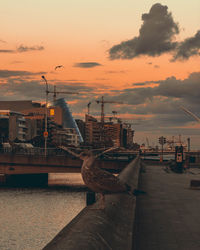 Pier by river against sky during sunset