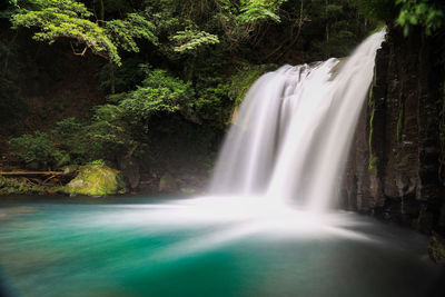 Scenic view of waterfall in forest