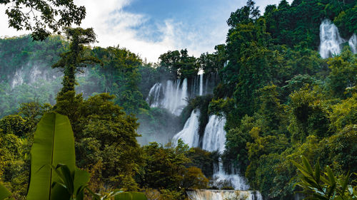 Scenic view of waterfall in forest against sky