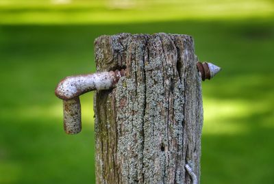 Close-up of old wooden post on field