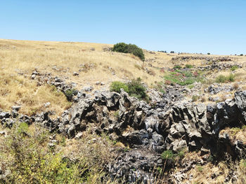 Scenic view of land against clear sky