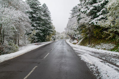 Empty road amidst trees during winter