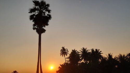 Low angle view of silhouette palm trees against sky during sunset