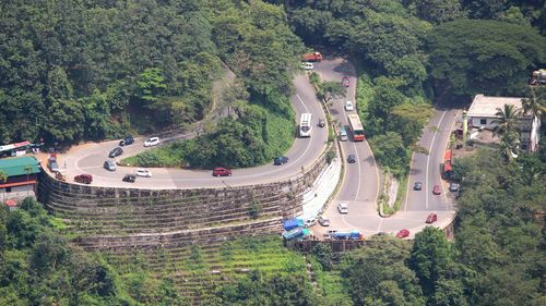 High angle view of road amidst trees