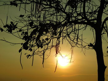 Silhouette bare tree against sky during sunset