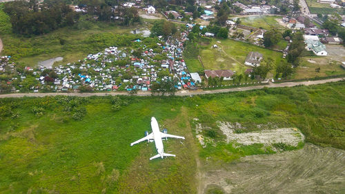 Airplane flying above trees