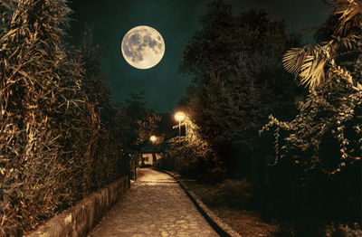 Scenic view of moon at night