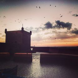 Silhouette birds flying over sea against sky