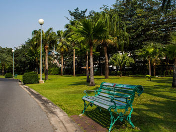 Empty bench on grassy field by footpath in park