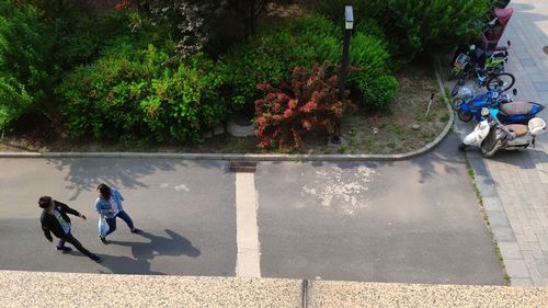 High angle view of people riding bicycle on road