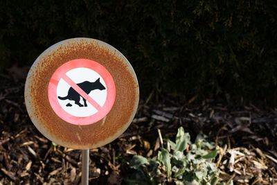 Close-up of road sign on field